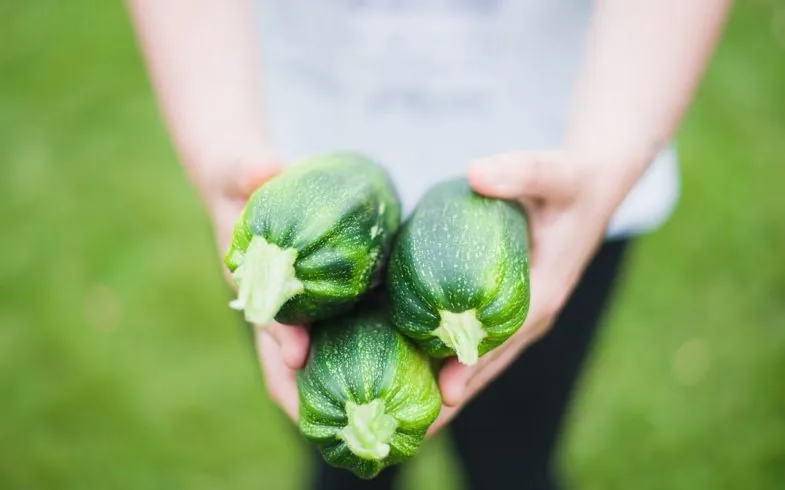 Tips On How Parents Can Help Their Kids Enjoy Vegetables